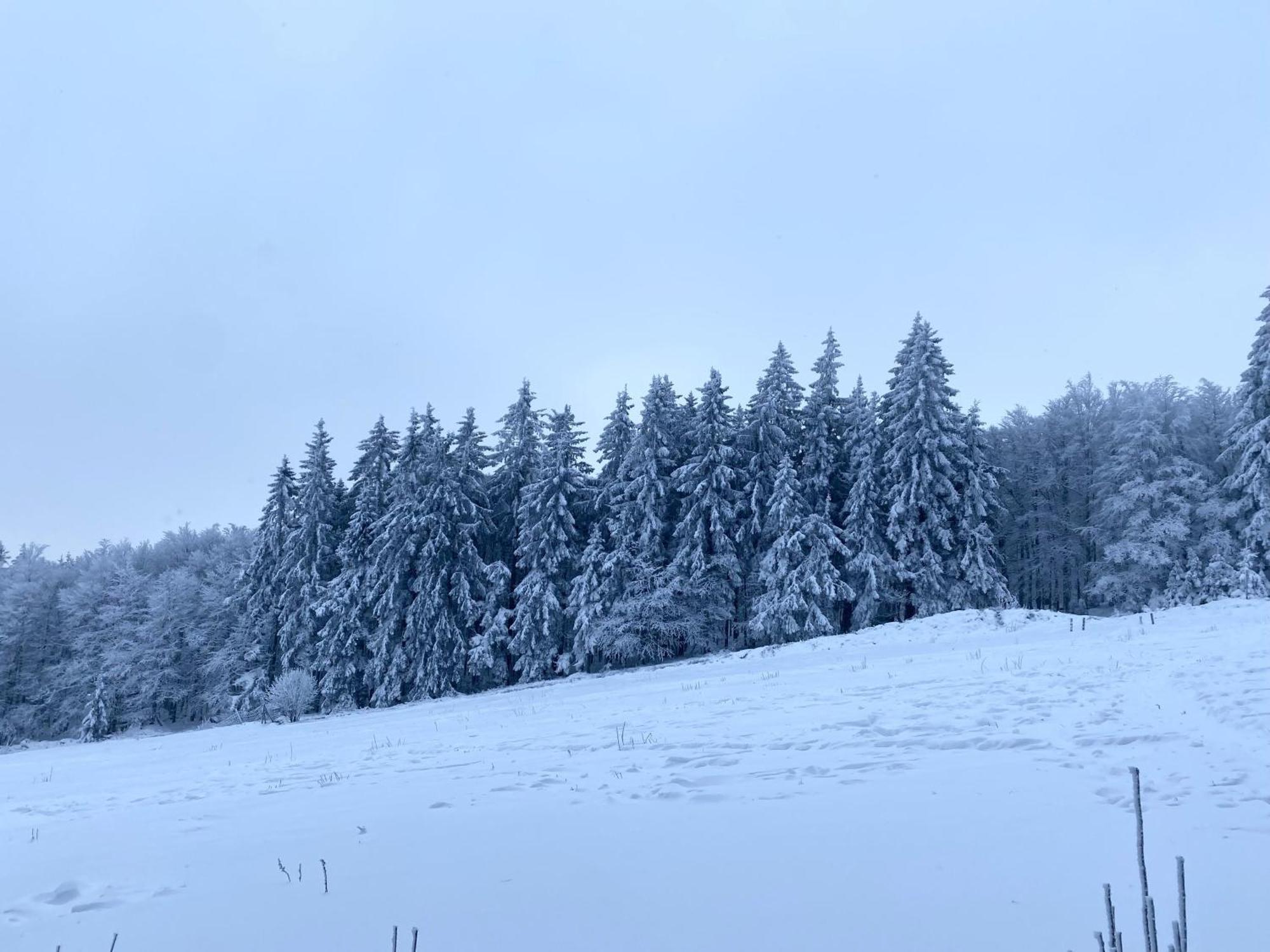 Le Chalet Du Hohwald Екстериор снимка