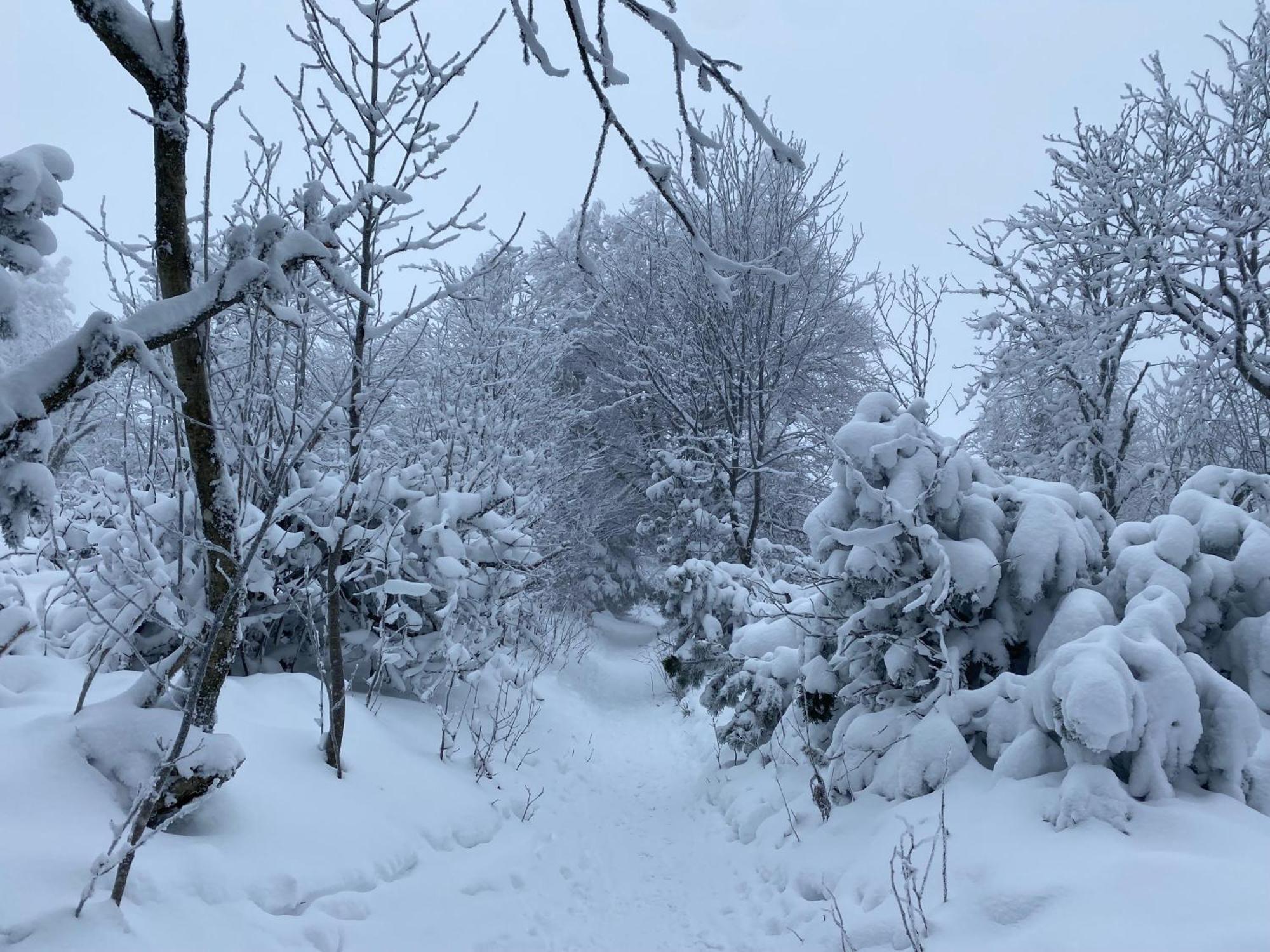 Le Chalet Du Hohwald Екстериор снимка